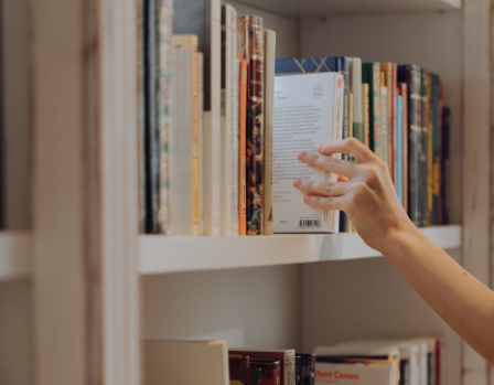 行政強(qiáng)制執(zhí)行和行政處罰有什么區(qū)別